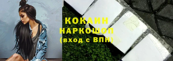 молекула духа Арсеньев