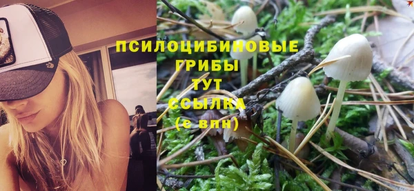 трава Армянск