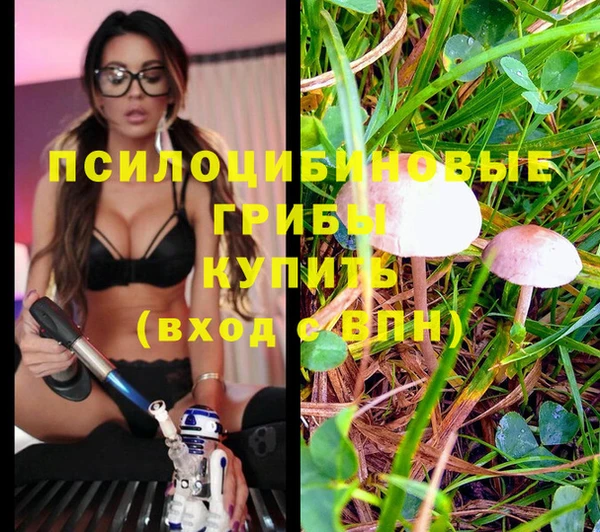 трава Армянск