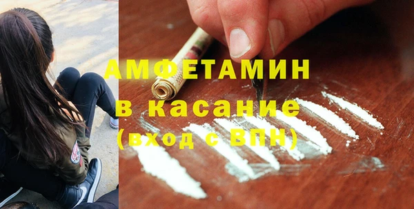 молекула духа Арсеньев