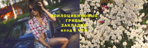 спиды Аркадак