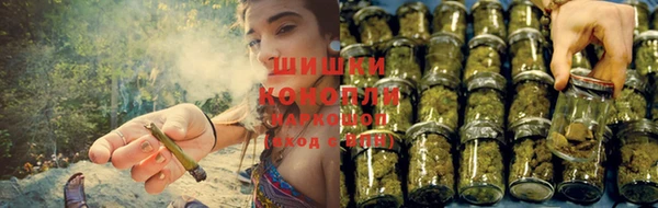 спиды Аркадак